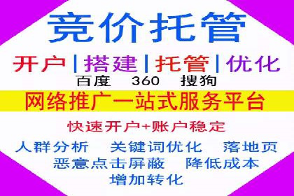 竞价SEM托管服务效果评估与案例分析